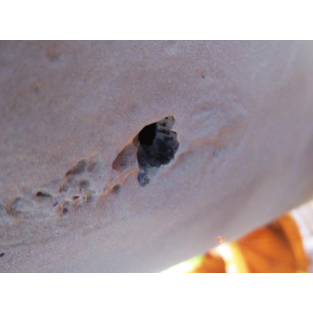 Untitled design - 2025-10-29T161501.338