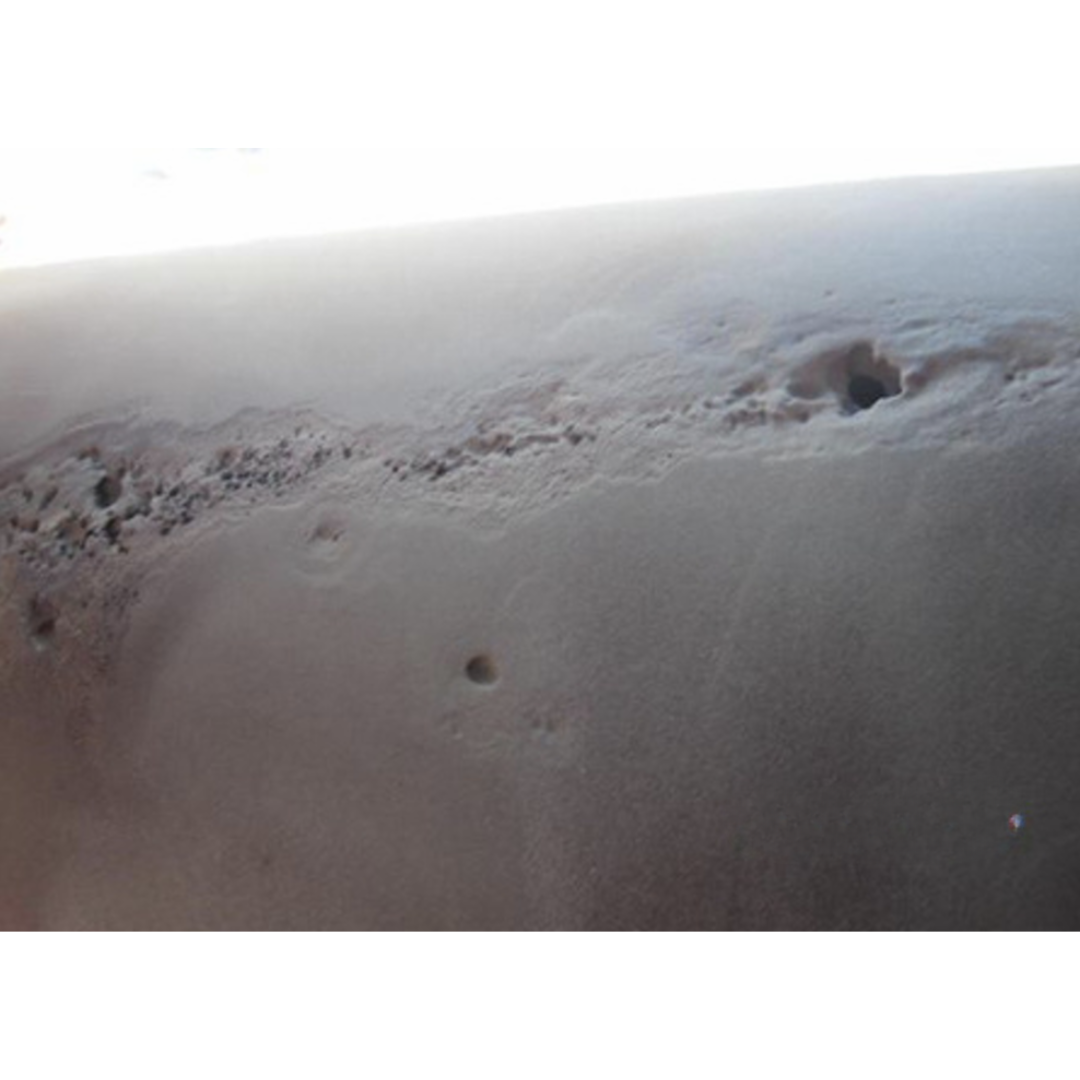 Untitled design - 2025-11-08T101922.442